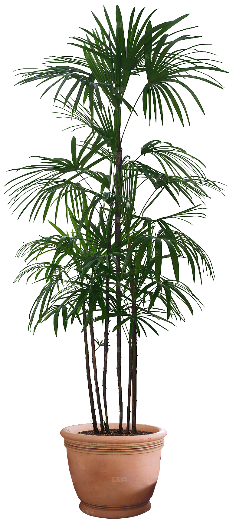 花艺软装北欧绿植插花花卉盆栽PNG素材