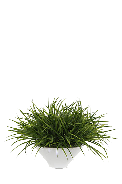 花艺软装北欧绿植插花花卉盆栽PNG