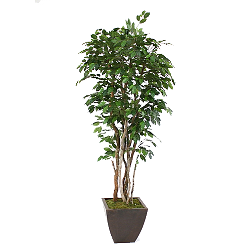 花艺软装北欧绿植插花花卉盆栽PNG