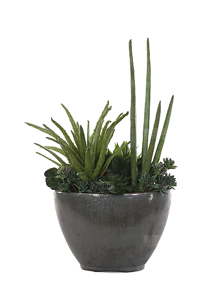 花艺软装北欧绿植插花花卉盆栽PNG