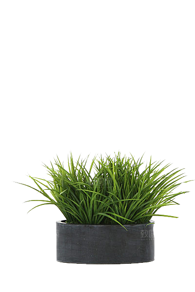 花艺软装北欧绿植插花花卉盆栽PNG