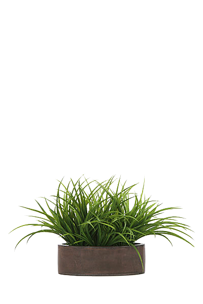 花艺软装北欧绿植插花花卉盆栽PNG
