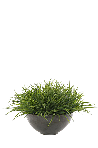 花艺软装北欧绿植插花花卉盆栽PNG