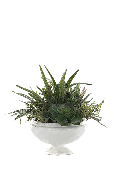 花艺软装北欧绿植插花花卉盆栽PNG