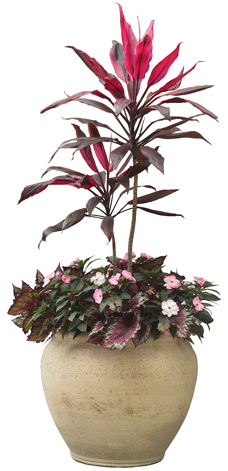 花艺软装北欧绿植插花花卉盆栽PNG素材