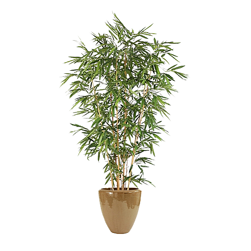 花艺软装北欧绿植插花花卉盆栽PNG素材