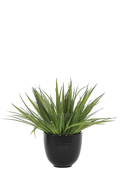 花艺软装北欧绿植插花花卉盆栽PNG素材