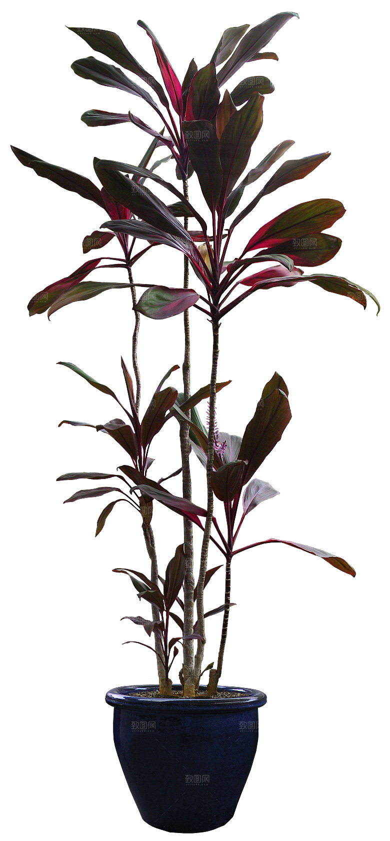 花艺软装北欧绿植插花花卉盆栽PNG素材