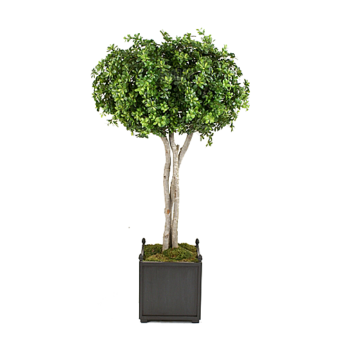 花艺软装北欧绿植插花花卉盆栽PNG素材