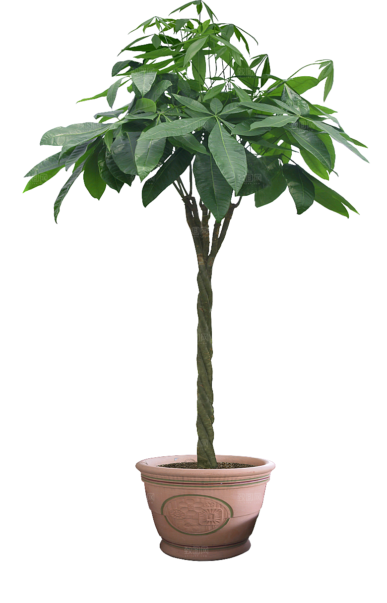 花艺软装北欧绿植插花花卉盆栽PNG素材