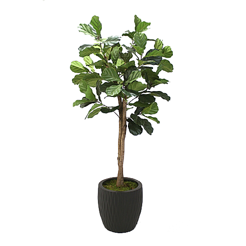 花艺软装北欧绿植插花花卉盆栽PNG