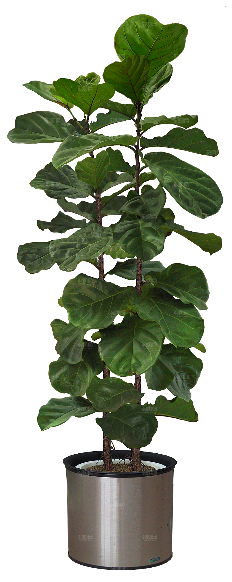 花艺软装北欧绿植插花花卉盆栽PNG