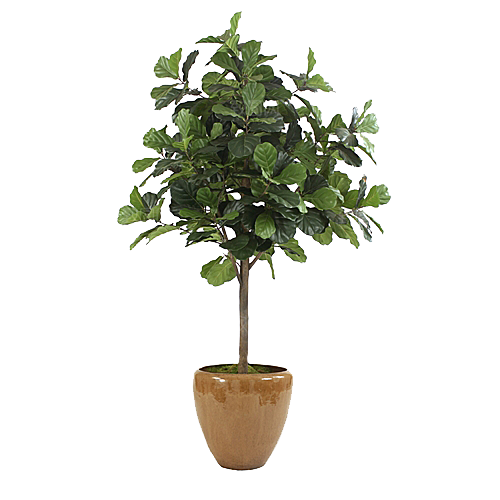 花艺软装北欧绿植插花花卉盆栽PNG