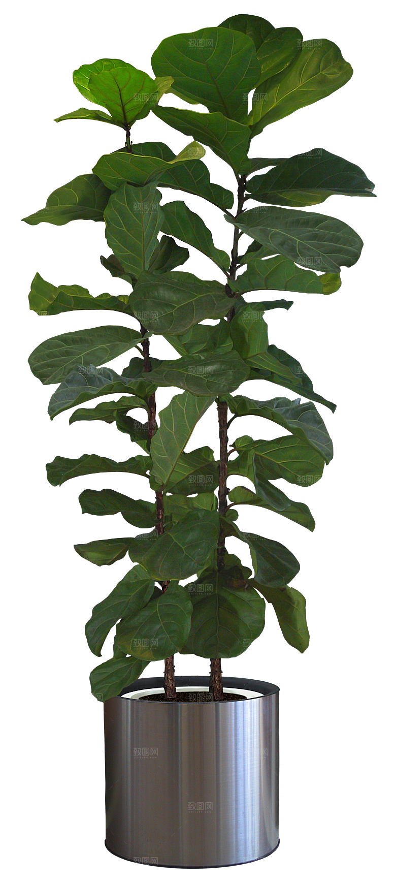 花艺软装北欧绿植插花花卉盆栽PNG