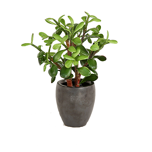 花艺软装北欧绿植插花花卉盆栽PNG