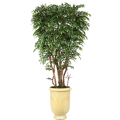 花艺软装北欧绿植插花花卉盆栽PNG