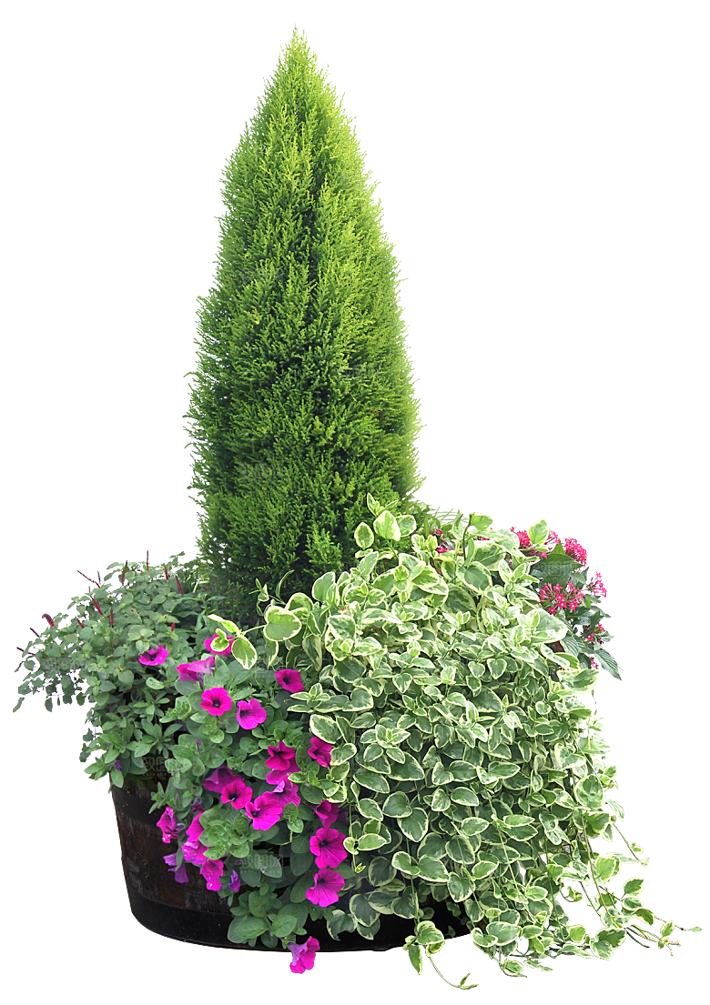 花艺软装北欧绿植插花花卉盆栽PNG