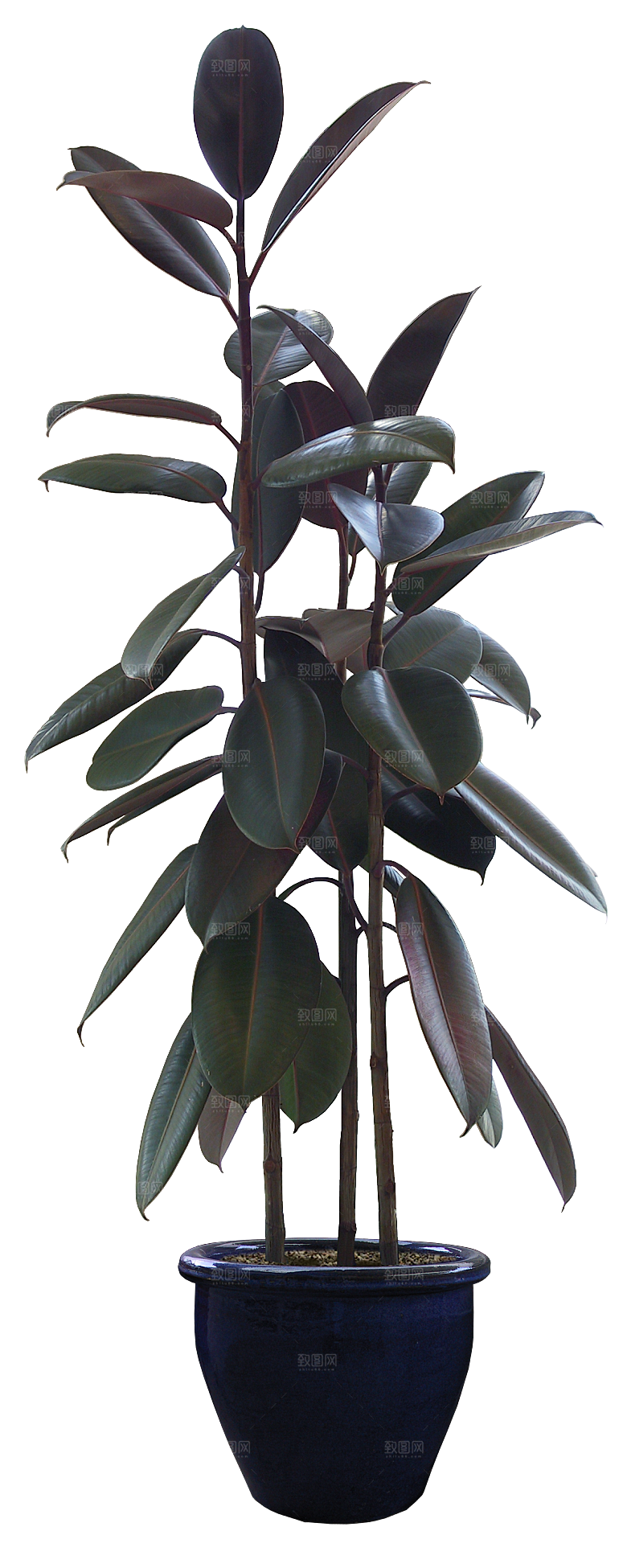 花艺软装北欧绿植插花花卉盆栽PNG