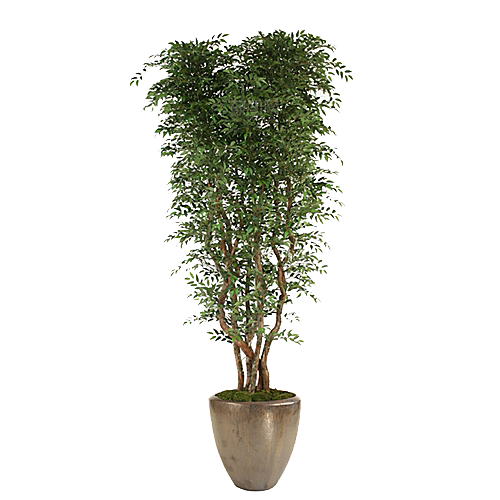 花艺软装北欧绿植插花花卉盆栽PNG