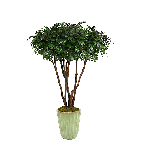 花艺软装北欧绿植插花花卉盆栽PNG