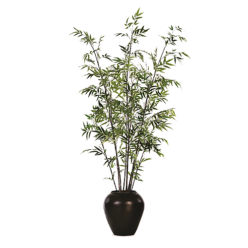 花艺软装北欧绿植插花花卉盆栽PNG