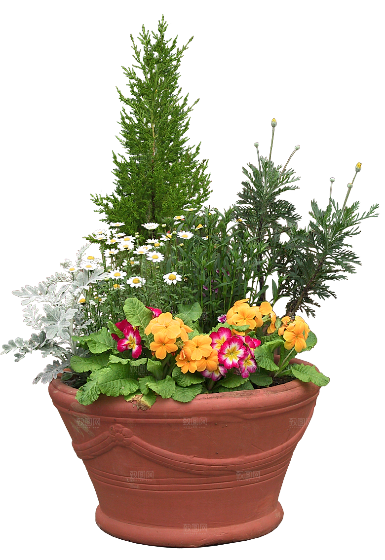 花艺软装北欧绿植插花花卉盆栽PNG