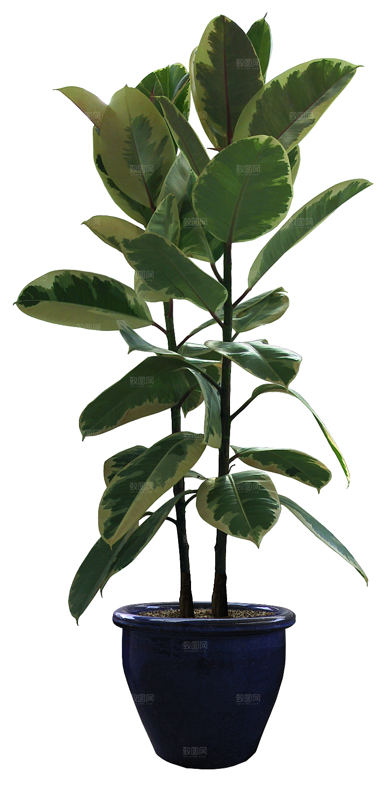 花艺软装北欧绿植插花花卉盆栽PNG