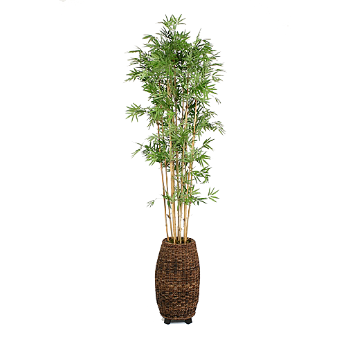 花艺软装北欧绿植插花花卉盆栽PNG素材