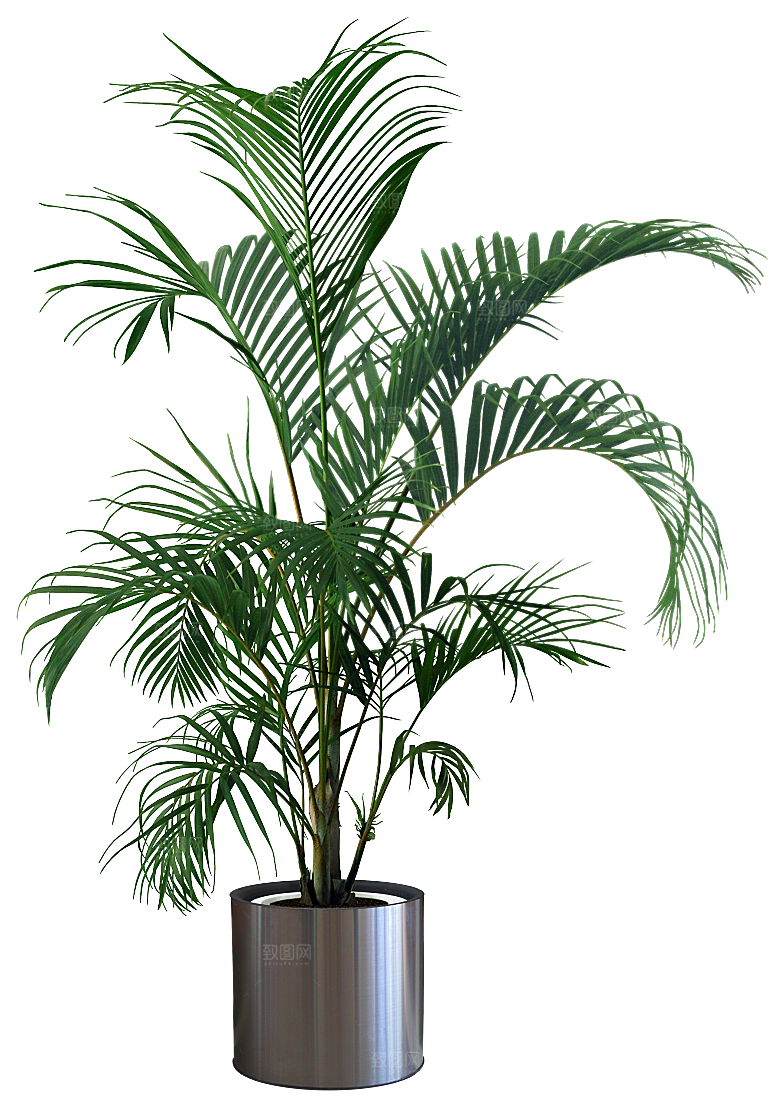 花艺软装北欧绿植插花花卉盆栽PNG素材