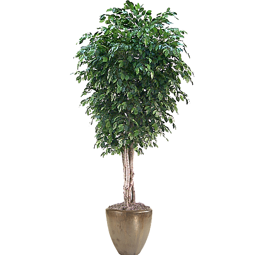 花艺软装北欧绿植插花花卉盆栽PNG素材