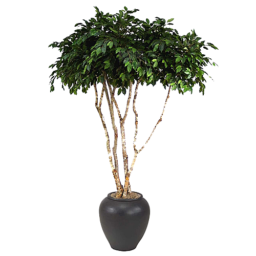 花艺软装北欧绿植插花花卉盆栽PNG素材