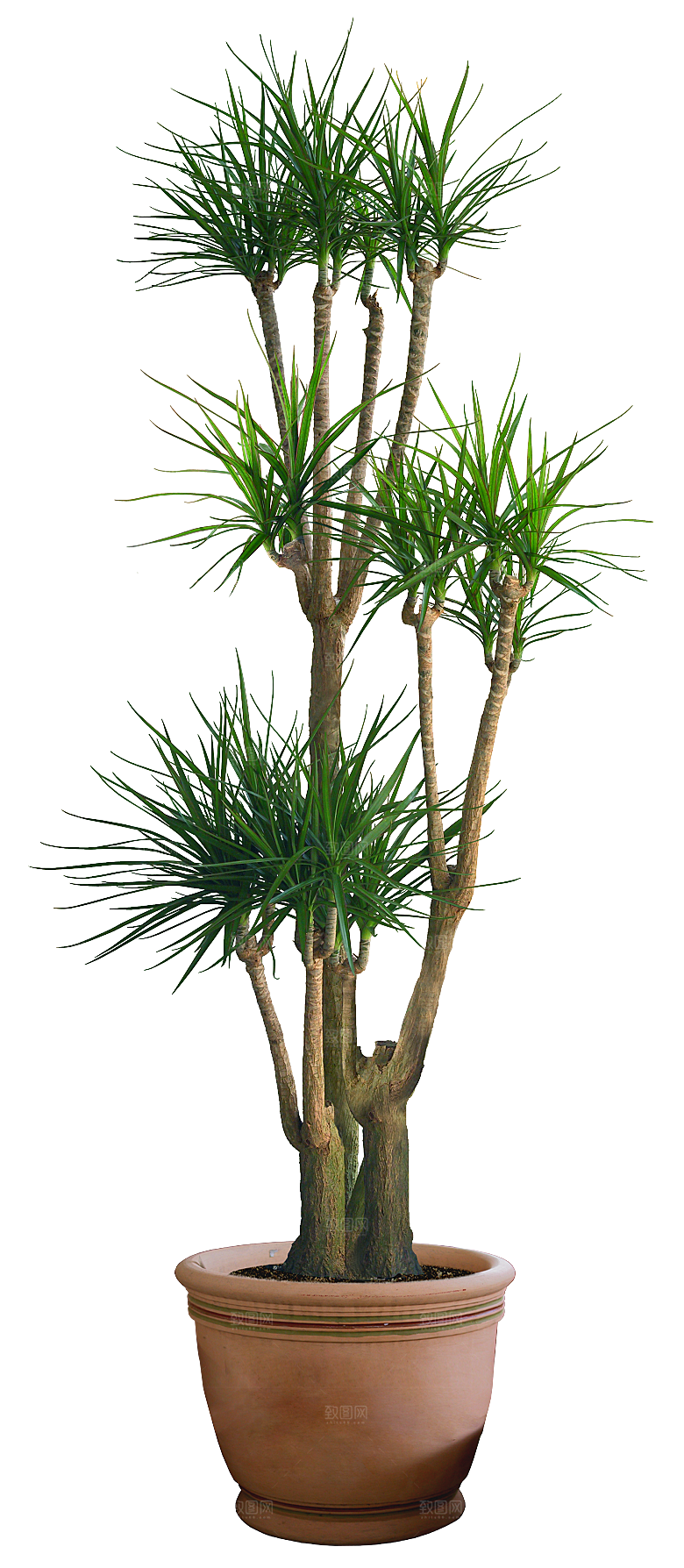 花艺软装北欧绿植插花花卉盆栽PNG素材