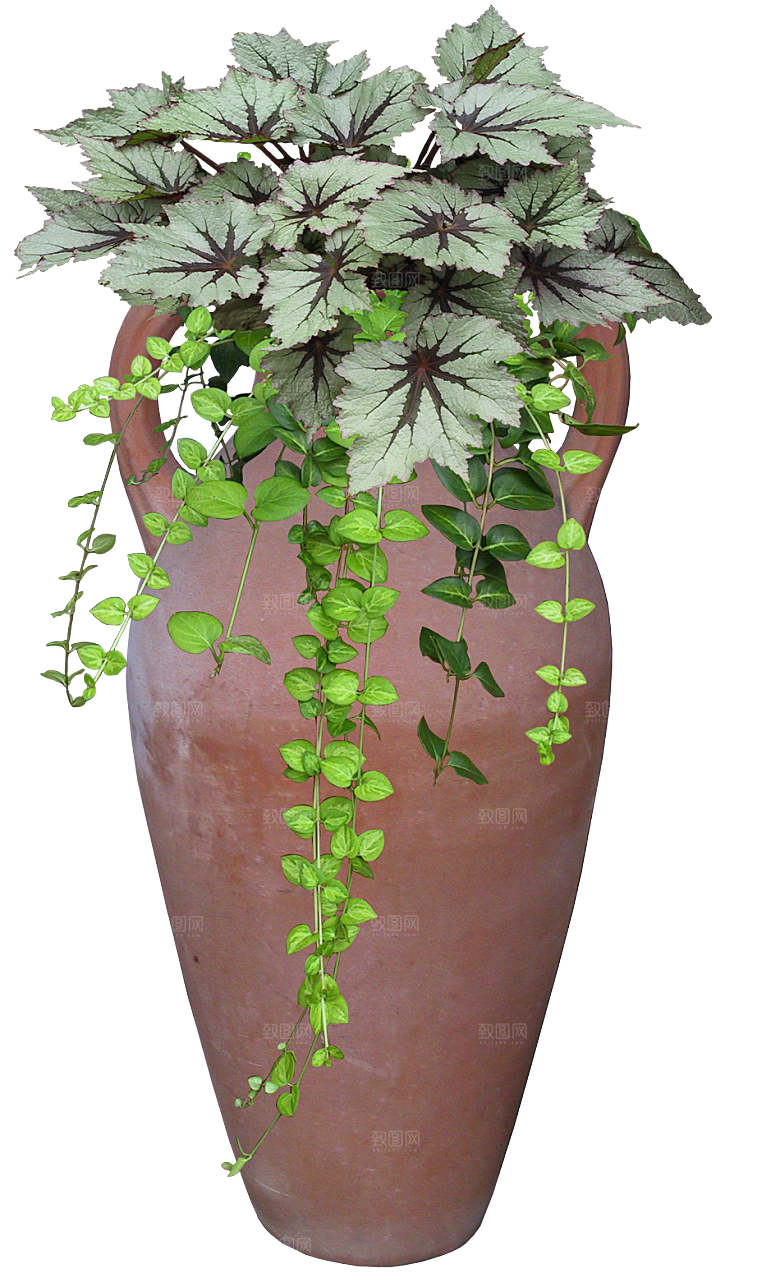 花艺软装北欧绿植插花花卉盆栽PNG素材