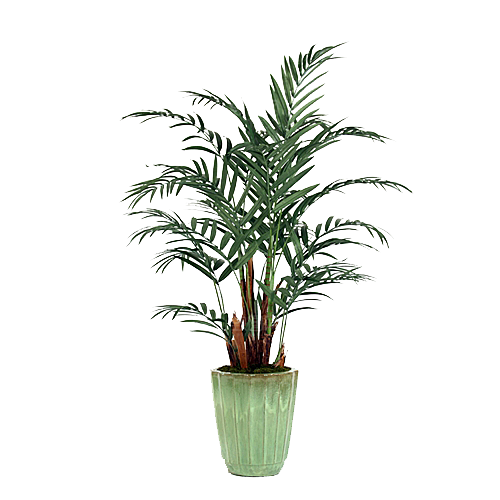 花艺软装北欧绿植插花花卉盆栽PNG