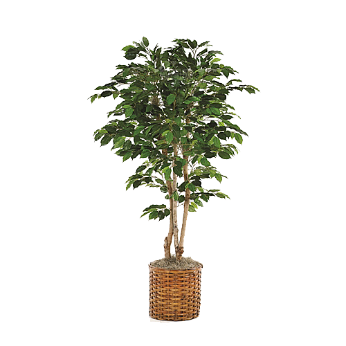 花艺软装北欧绿植插花花卉盆栽PNG