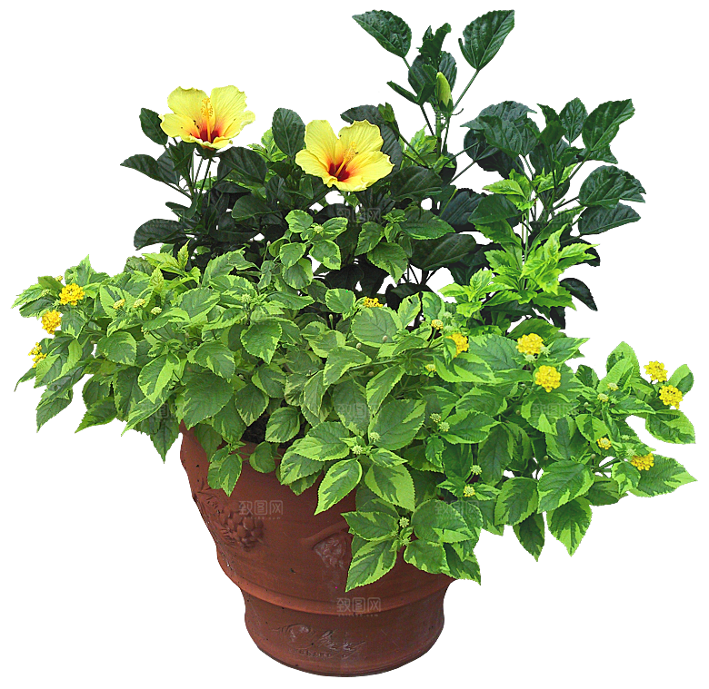 花艺软装北欧绿植插花花卉盆栽PNG