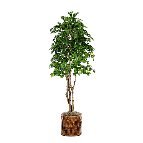 花艺软装北欧绿植插花花卉盆栽PNG