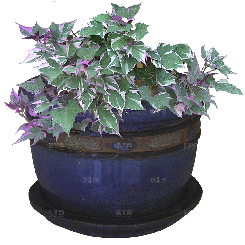 花艺软装北欧绿植插花花卉盆栽PNG