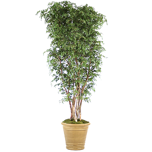 花艺软装北欧绿植插花花卉盆栽PNG