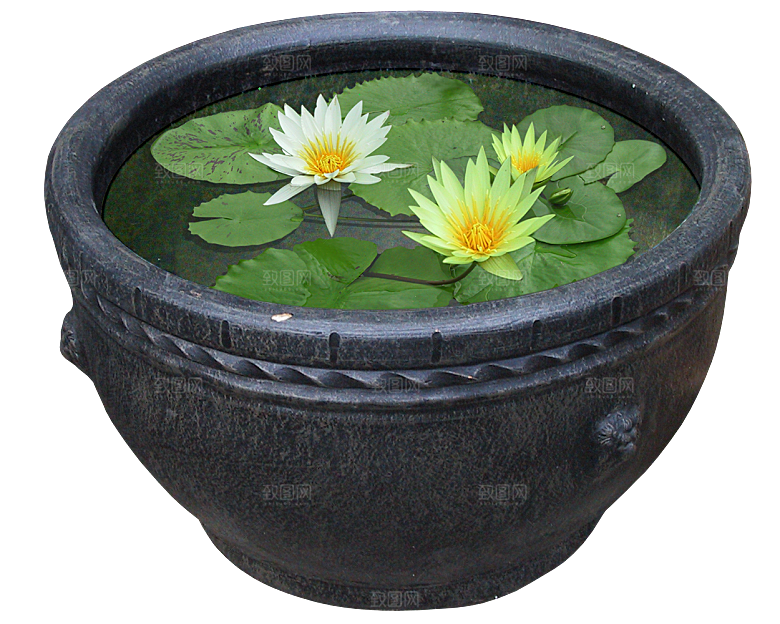 花艺软装北欧绿植插花花卉盆栽PNG