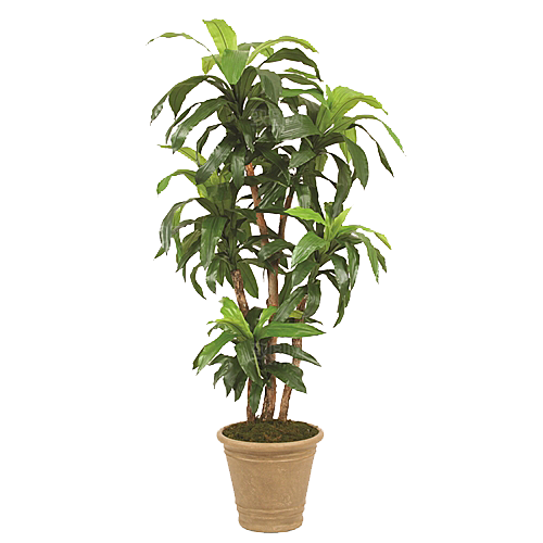 花艺软装北欧绿植插花花卉盆栽PNG素材