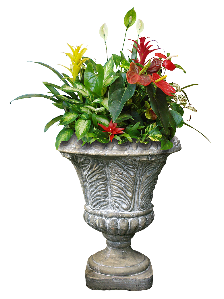 花艺软装北欧绿植插花花卉盆栽PNG素材