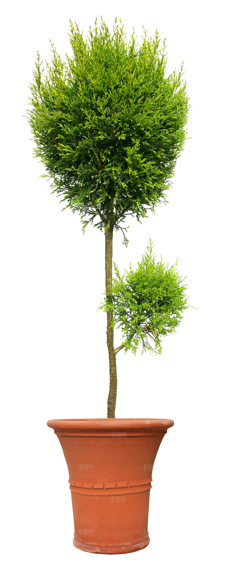 花艺软装北欧绿植插花花卉盆栽PNG素材