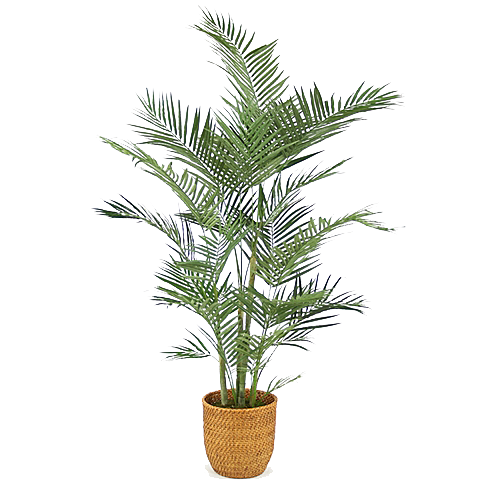 花艺软装北欧绿植插花花卉盆栽PNG素材