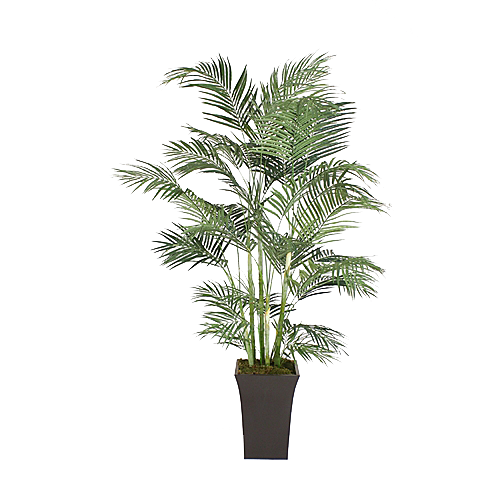 花艺软装北欧绿植插花花卉盆栽PNG素材