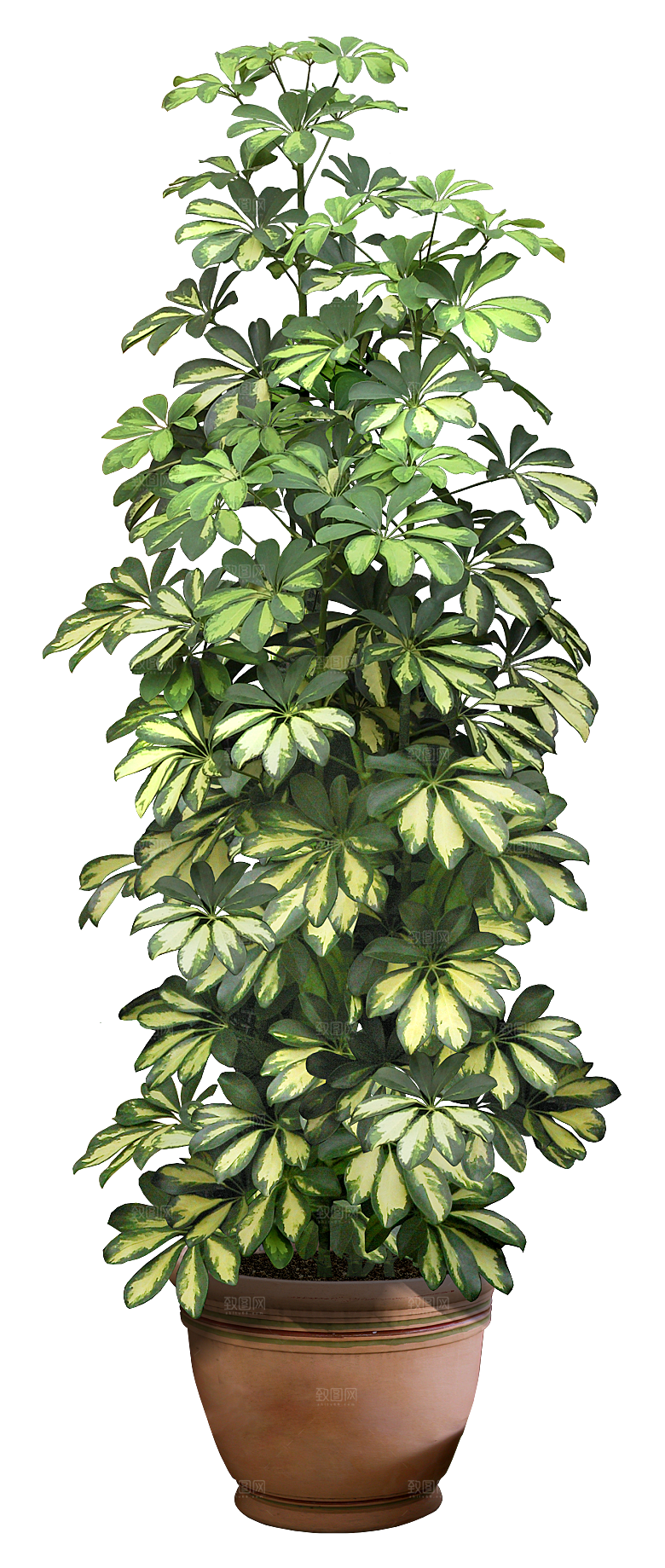花艺软装北欧绿植插花花卉盆栽PNG素材