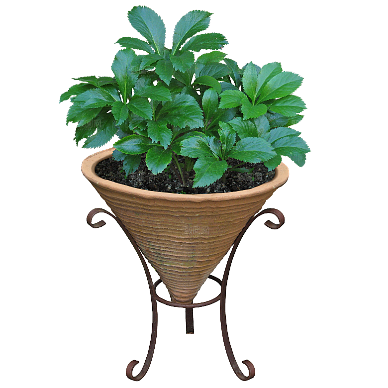 花艺软装北欧绿植插花花卉盆栽PNG素材