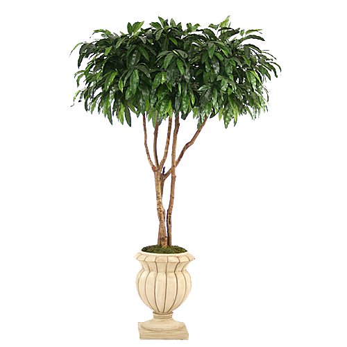 花艺软装北欧绿植插花花卉盆栽PNG