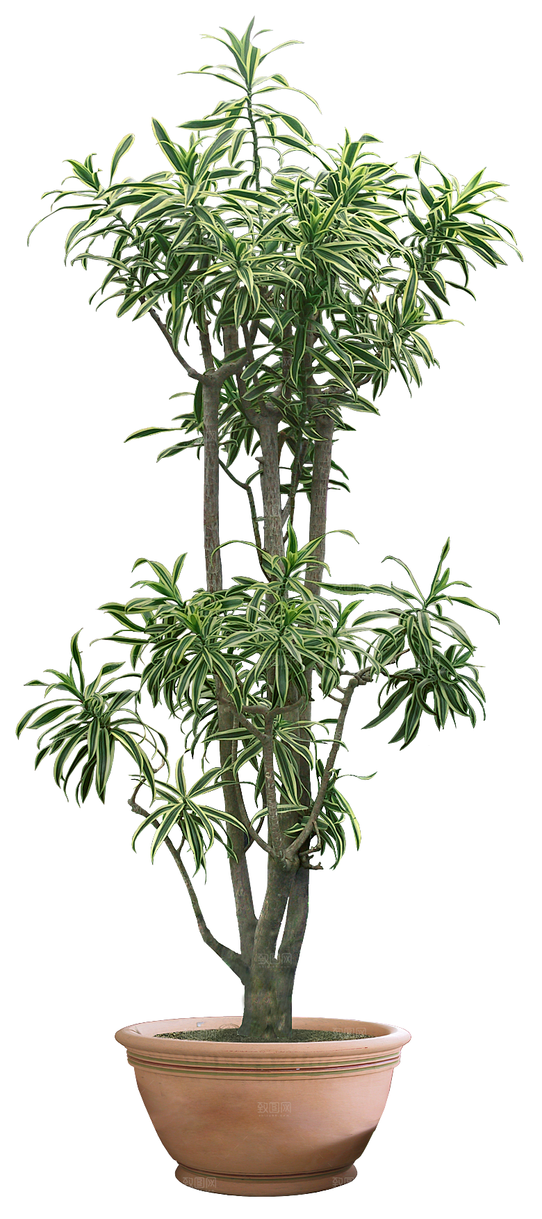 花艺软装北欧绿植插花花卉盆栽PNG