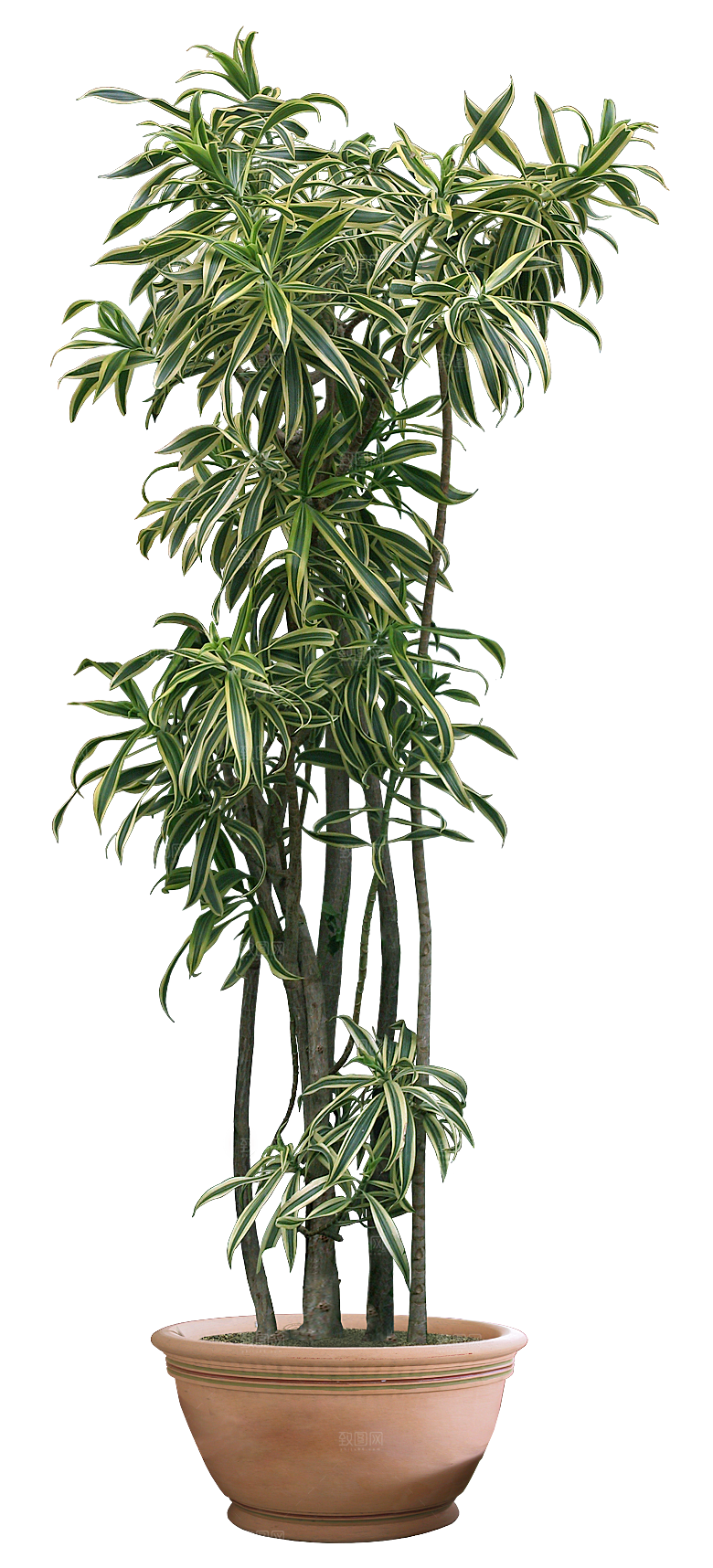 花艺软装北欧绿植插花花卉盆栽PNG